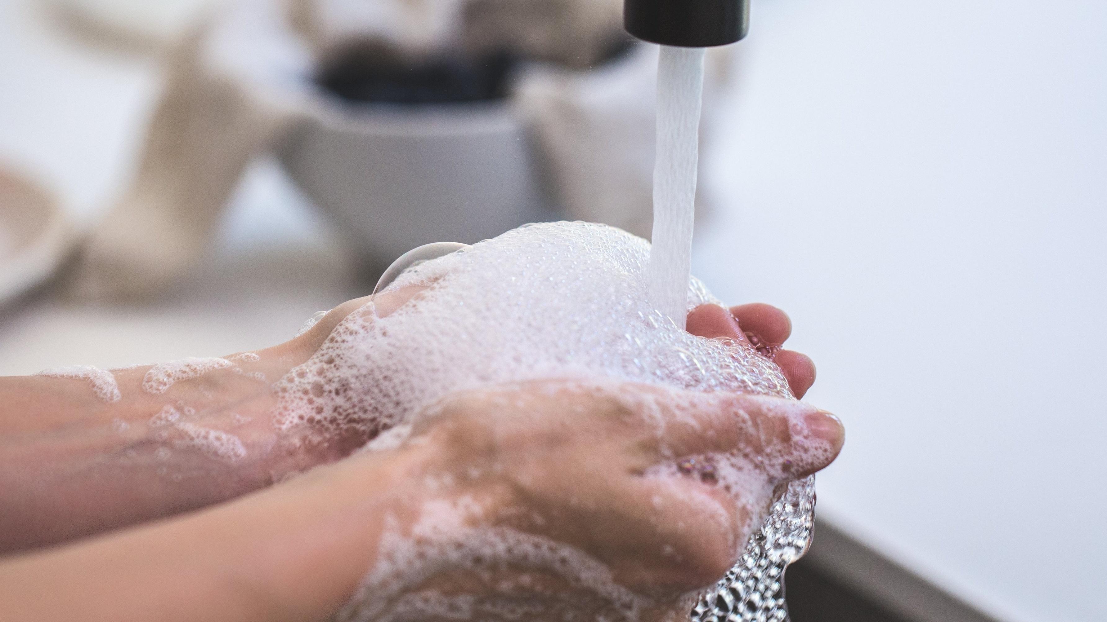 Würmer Im Stuhl Was Tun Captions Tempo